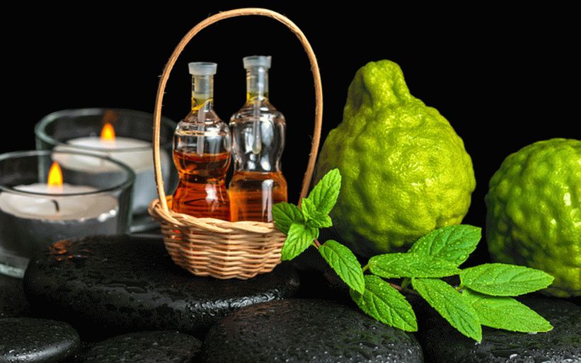 Proprietățile și aplicațiile uleiului esențial Bergamot