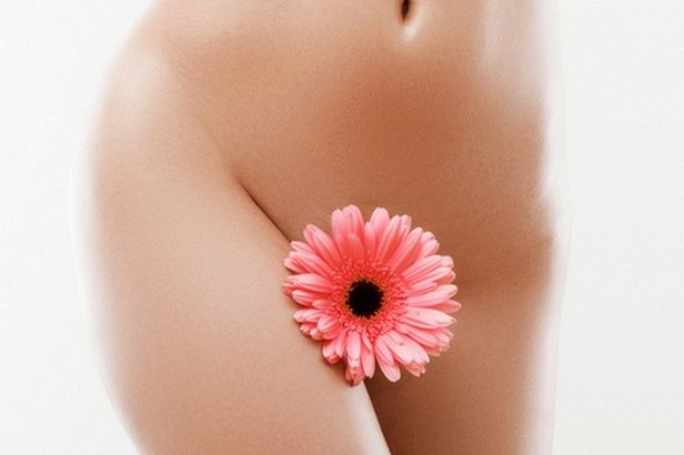 clasic bikini shugaring