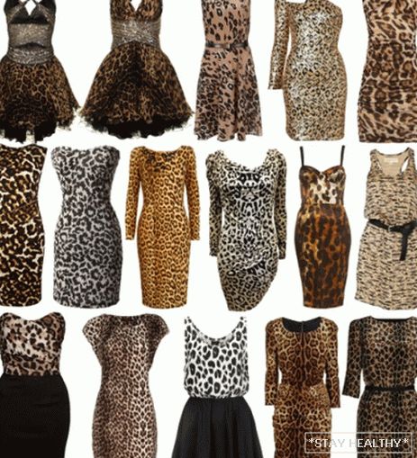 Rochii cu leopard imprimare: фото