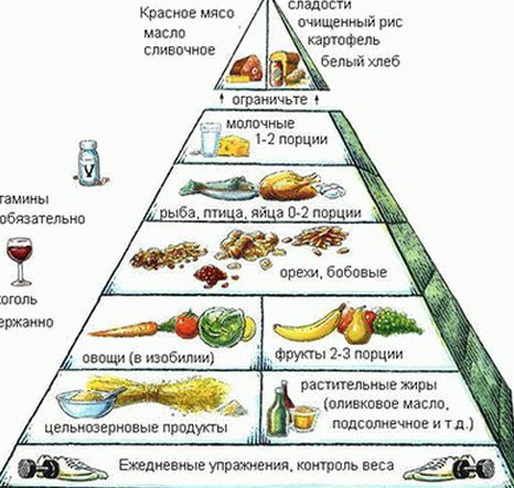 Piramida Harvard a alimentației sănătoase