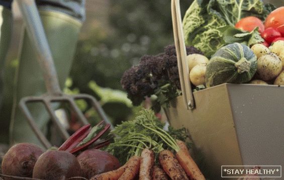Cele mai frumoase, neobișnuite și colorate soiuri legume pentru grădinari