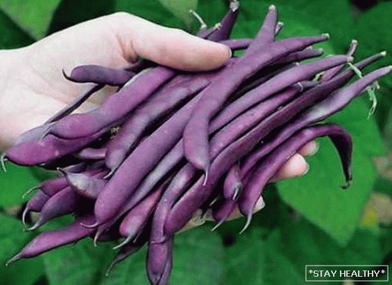 Cele mai frumoase, neobișnuite și colorate soiuri legume pentru grădinari