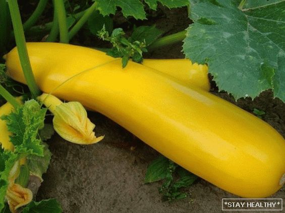 Cele mai frumoase, neobișnuite și colorate soiuri legume pentru grădinari