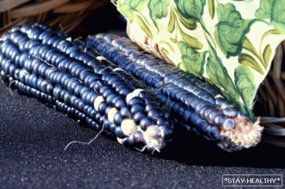 Cele mai frumoase, neobișnuite și colorate soiuri legume pentru grădinari