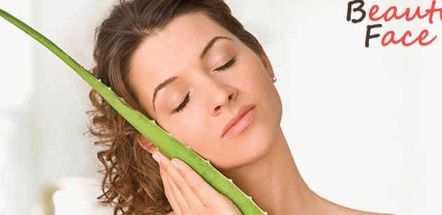 Aloe - ajutor pentru păr