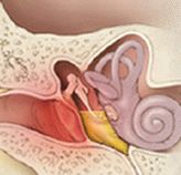 Cauzele matreții în urechi
