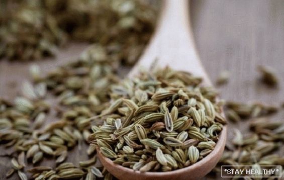 "Secret Fructe" parfumat verde grădină. cetrebuie să știți despre beneficiile și pericolele semințelor de mărar?