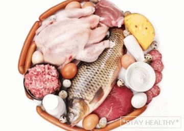 soderzhanie-belka-v-produktah-pitaniya