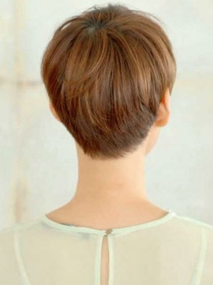 Brown pixie