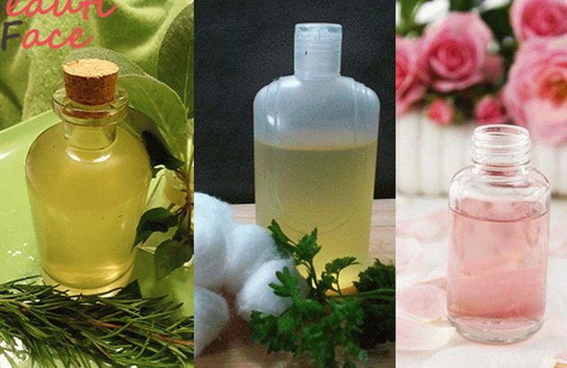 Varietatea produselor pentru a face tonic acasă